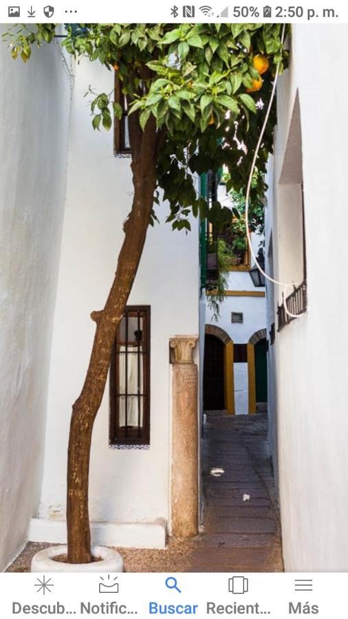Centro-mezquita 4 A 8 Huespedes Apartament